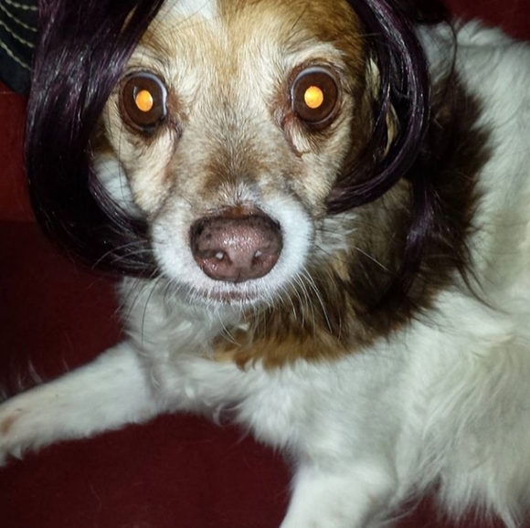 Meet your Posher, Natasha - Picture 7 of 14